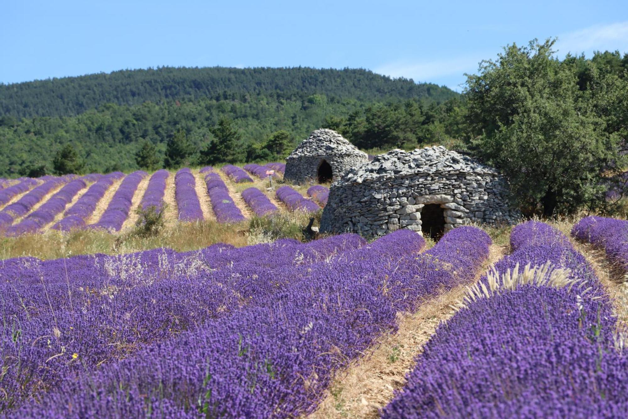 Studio Dans Le Luberon Céreste Esterno foto