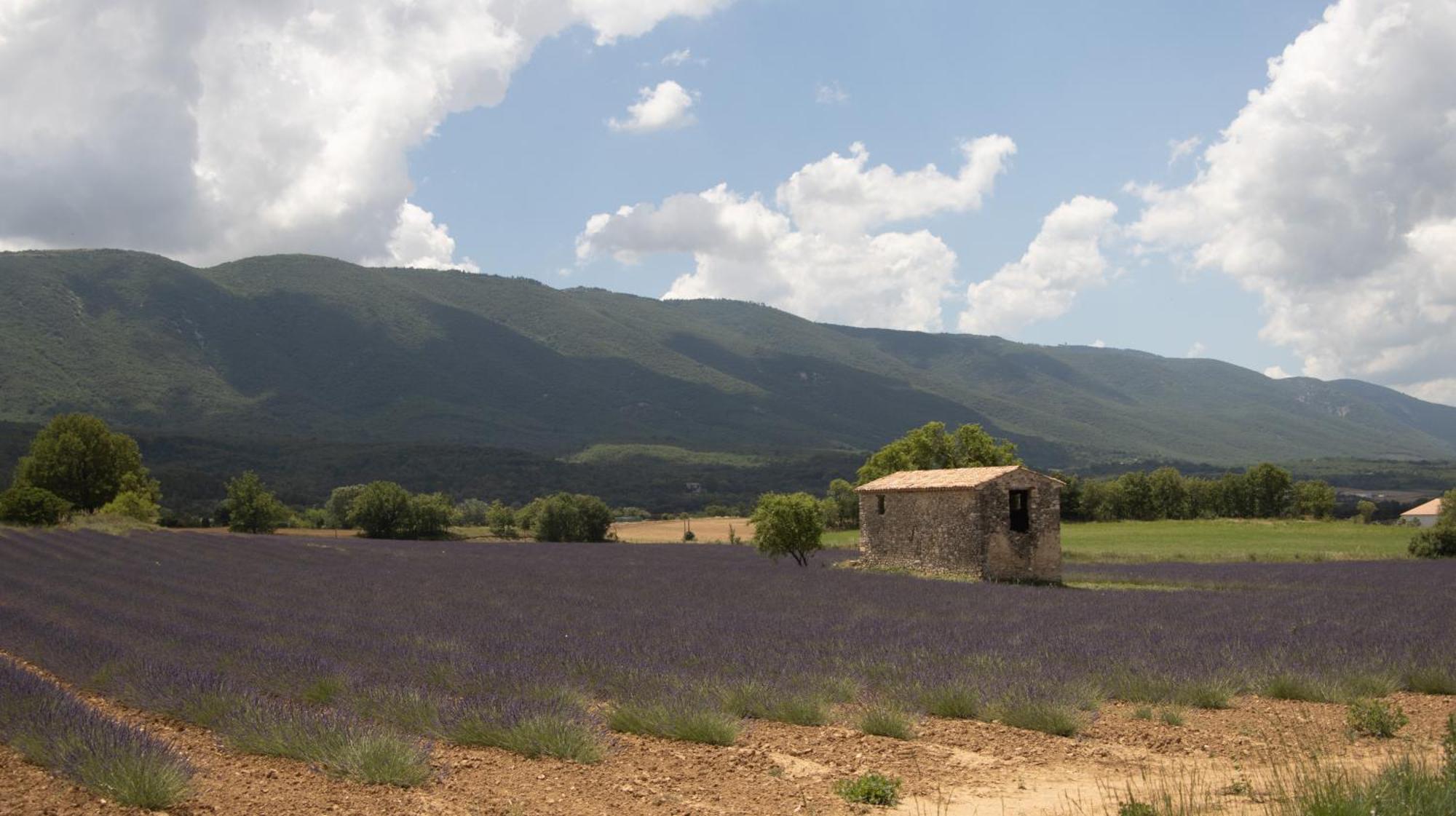 Studio Dans Le Luberon Céreste Esterno foto