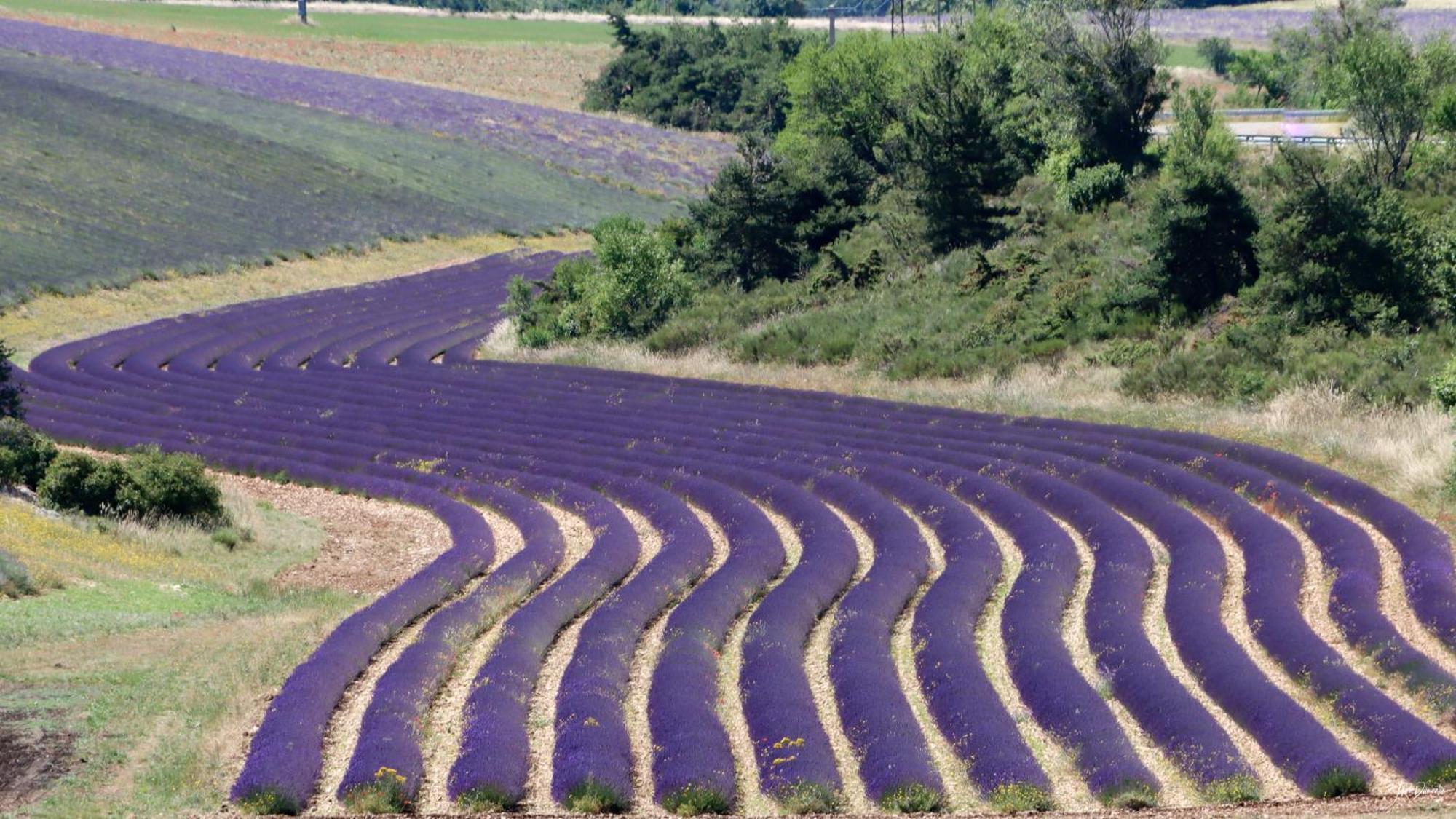 Studio Dans Le Luberon Céreste Esterno foto